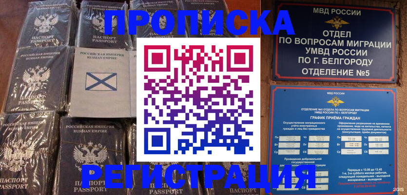 прописка гарантия в Дальнереченске